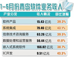 青岛前5个月软件业务收入超390亿 同比增长40